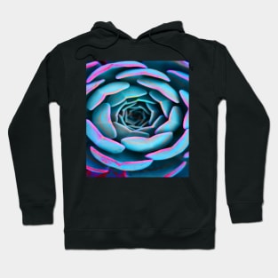 Colorful Succulent Desert Rose Hoodie